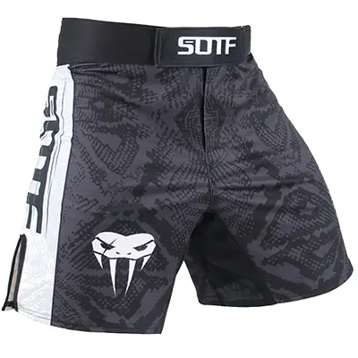 Image de Shorts de Combat MMA Tigre - Respirants & Féroces