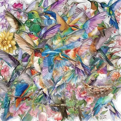 Image de Stickers Colibri Créatifs - 50 Pièces