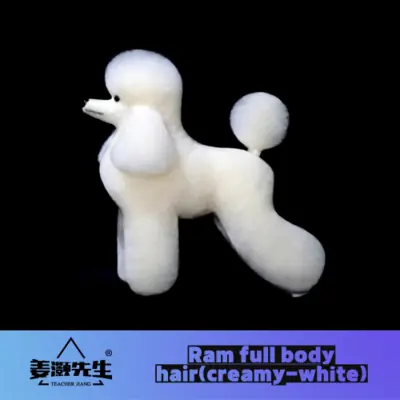 Image de Mannequin Chien pour Pratique de Coiffure et Soins Capillaires