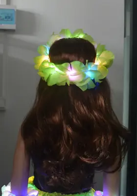 Image de Couronne LED Hawaïenne Lumineuse pour Mariage et Fêtes