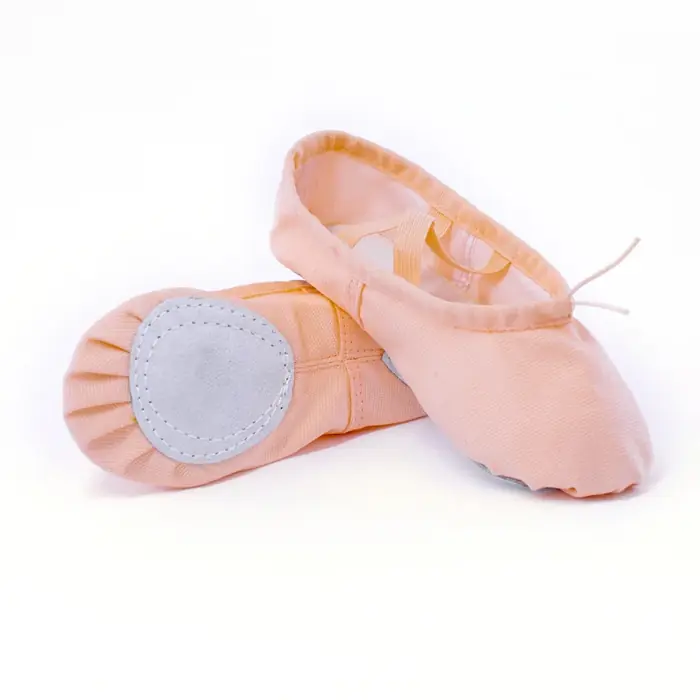 Image de Chaussures de Ballet Souple pour Danseurs