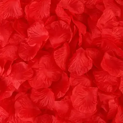 Image de 2000 Pétales de Rose en Soie - Décoration Mariage