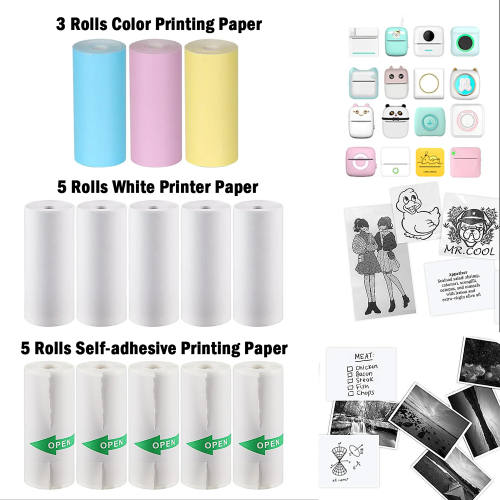 13 rotoli di carta