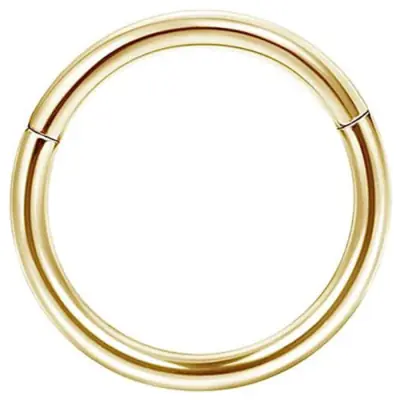 Image de Anneau de Nez en Acier Chirurgical - Clicker Septum & Helix