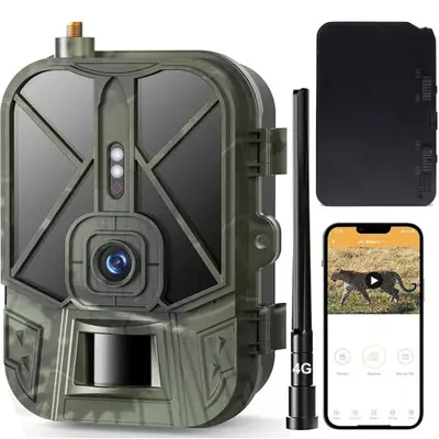 Image de Caméra de Surveillance Faune 4K - Suivi HD en Temps Réel