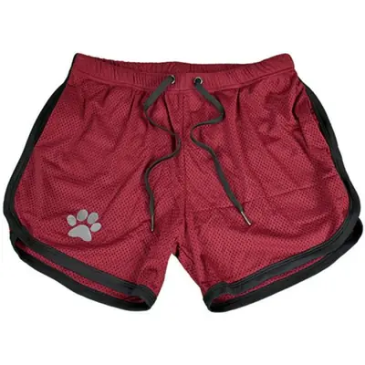 Image de Short de Sport Homme Respirant - Idéal pour Course, Musculation & Jogging