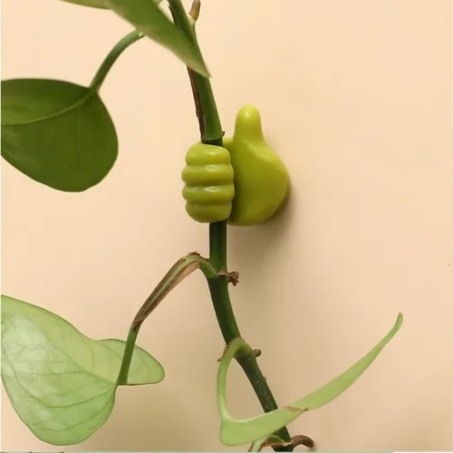 Vue 5 du produit