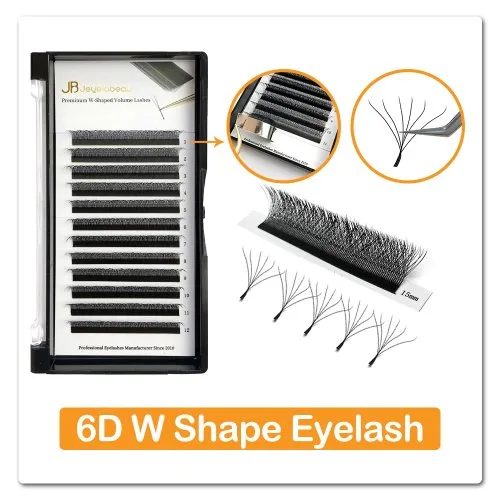 6D W lashes