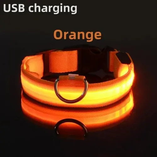 Naranja USB carga