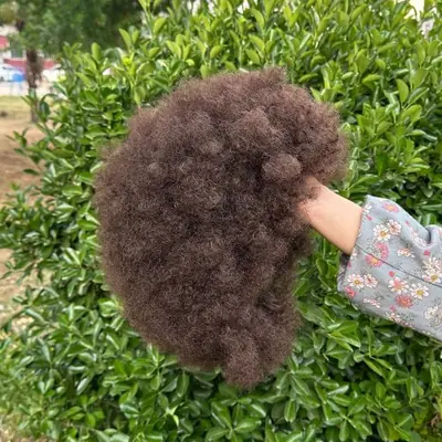 Image de Perruque Afro 14 Pouces - Bouffante & Rebondissante