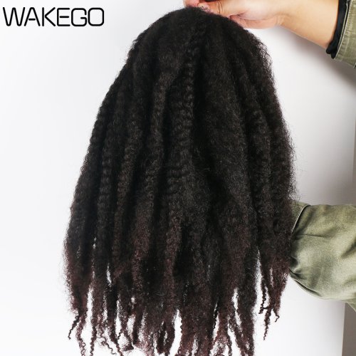 1B 33 kleur