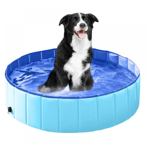 Image de Piscine pliable pour chien - Baignoire confortable intérieur/extérieur