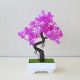 Vue 1 du produit