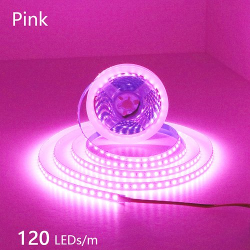 120LED Rosa