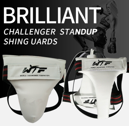 Image of Premium Taekwondo Crotch Protector with Shin Guard – Adjustable Sanda Body Protection for Kids and Adults – Durable Training Gear & Jockstrap Safety Shield
