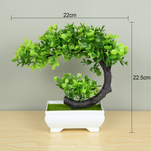 Vue 20 du produit