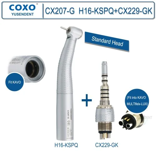 H16-KSPQ und CX229GK