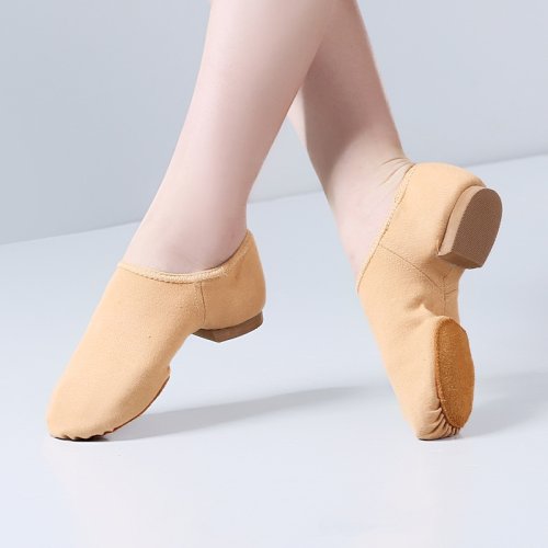 Afbeelding van Elegante Jazz- en Dansschoenen voor Dames – Zachte Zolen voor Modern, Klassiek en Nationale Dans – Ideaal voor Indoor Training, Examens en Volwassen Les