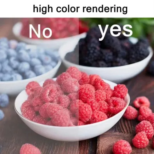 Vue 5 du produit