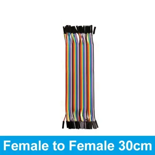 Femelle vers femelle 30 cm