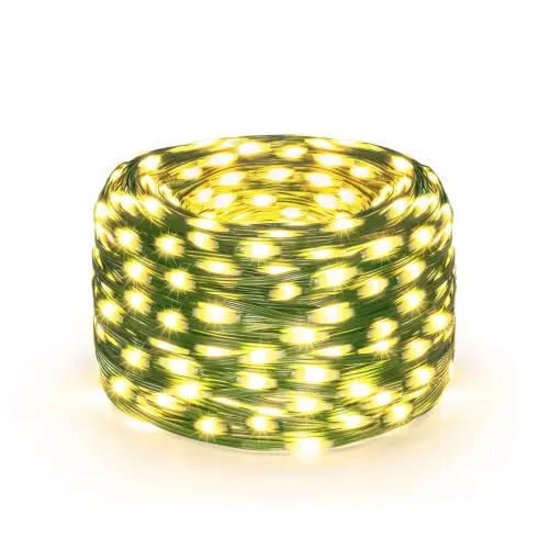 Image de Guirlande LED Fée - Éclairage Magique pour Fêtes & Mariages