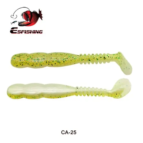 CA25