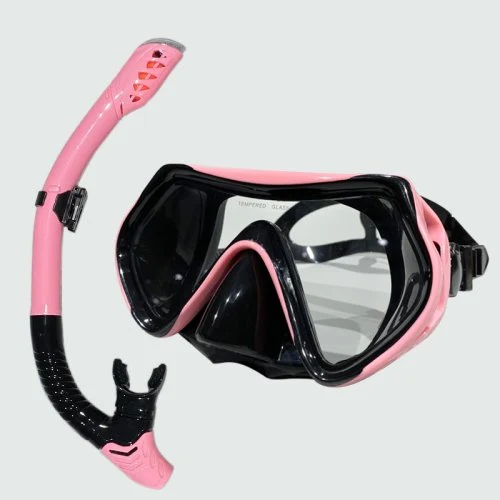 1526198 Rosa Negro