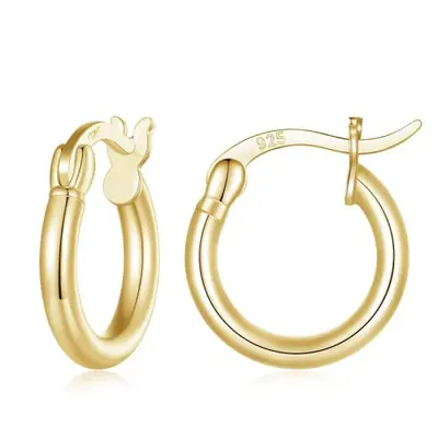 Image de Boucles d'oreilles créoles élégantes en argent 925 plaqué or blanc