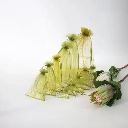 Oliva verde