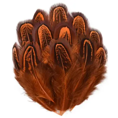 Image de Plumes de Faisan Colorées - Lot de 20 Pièces
