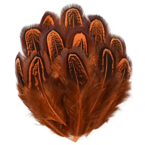 Image de Plumes de Faisan Colorées - Lot de 20 Pièces