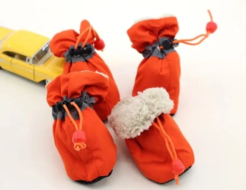 Naranja calentador
