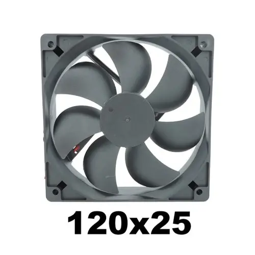 12025