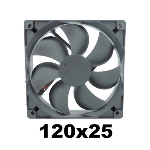 12025