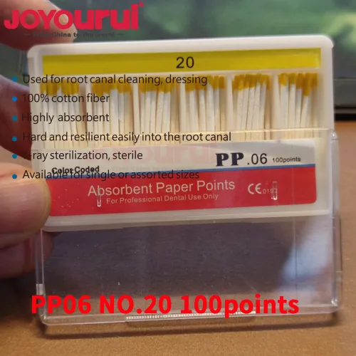 PP06-NO.20