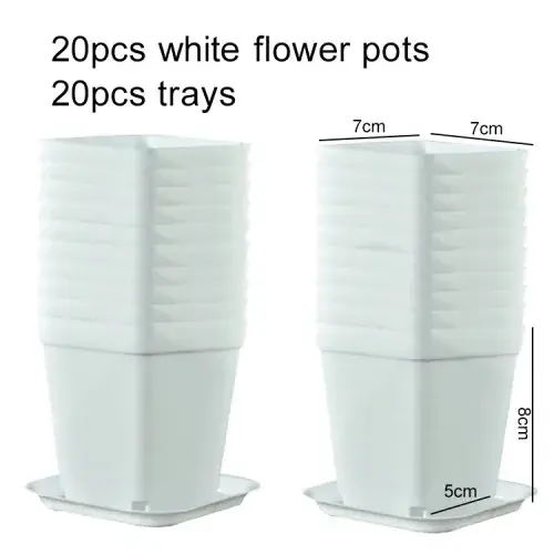 20 pcs TPHP blanc