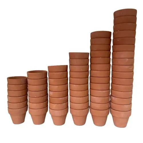 Image de Mini Pots en Terre Cuite - Lot de 60 pour Cactus & Plantes