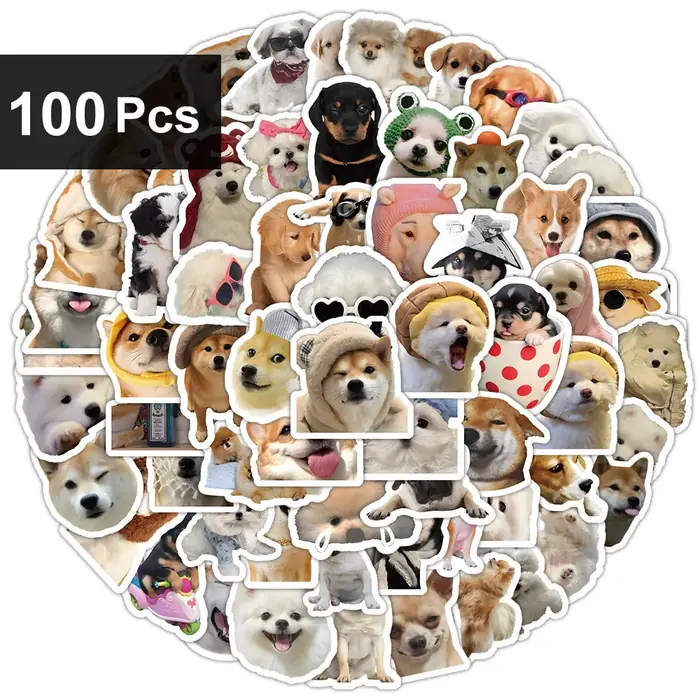 100pcs(1 pakiet)
