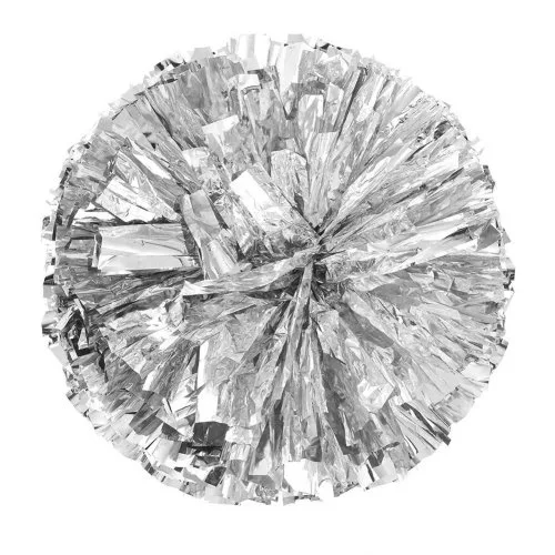 10 stuks zilver