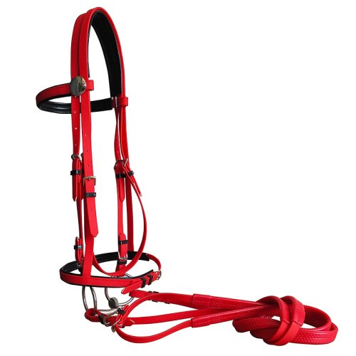 Afbeelding van Paardrijden Uitrusting Duurzaam Paard Hoofd Halter Paardrijden Hoofdstel Pvc Paardenrennen Paardensport Uitrusting Paardenhalsters