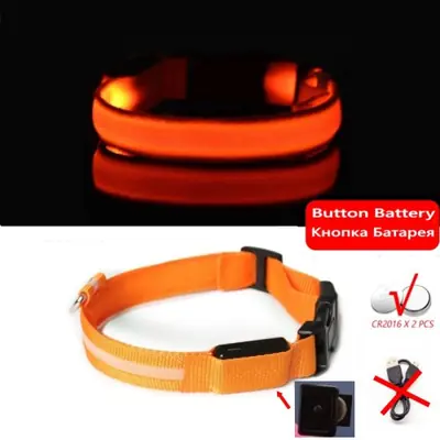 Image de Collier LED Lumineux pour Chien - Anti-Perte & Rechargeable