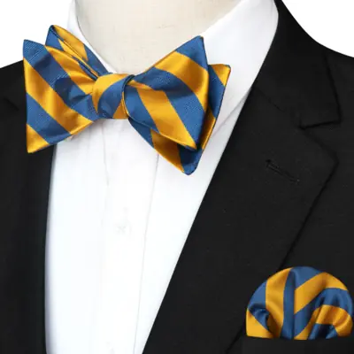 Image de Nœuds Papillon Rayés pour Hommes - Élégance & Style