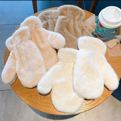 Afbeelding van Winterdikke, Zachte Pluche Handschoenen voor Dames met Bontlook en Fluwelen Voering – Warme, Lange Vingerhandschoenen voor Outdoor Gebruik