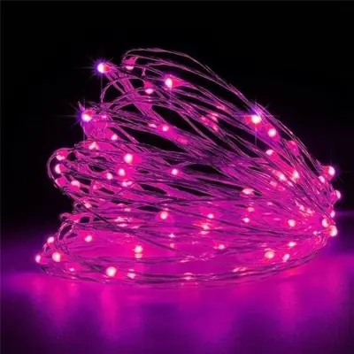 Image de Guirlande LED Cuivre Étanche - Décoration Féerique