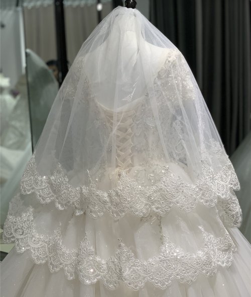 Image de Voile de Mariée Dentelle Court Blanc Ivoire 2022