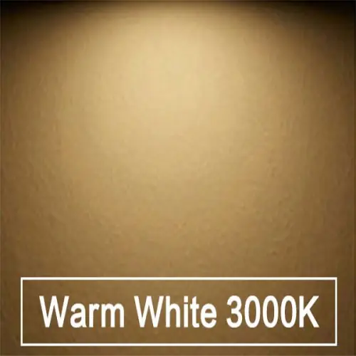 Image de Mini Downlight LED Ultra Mince 3W/5W/7W - Éclairage Intégré