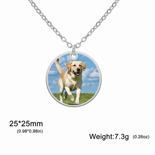 Image de Collier Photo Personnalisé - Médaillon en Acier Inoxydable