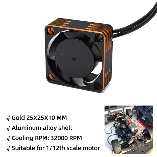 25mm goud 1st