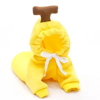Image de Sweat à capuche mignon pour chiots et chats