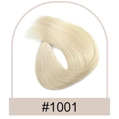 1001
